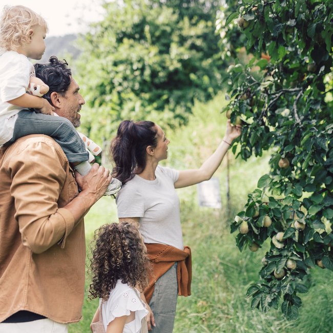 Familienhotel im Alpbachtal: Urlaub mit der Extradosis Spaß Familienhotel im Alpbachtal: Urlaub mit der Extradosis Spaß
