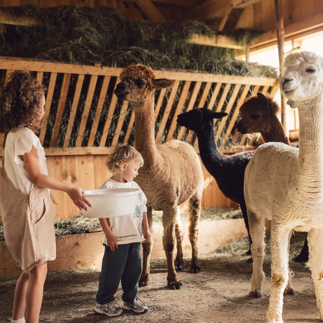 Familienhotel im Alpbachtal: Urlaub mit der Extradosis Spaß Familienhotel im Alpbachtal: Urlaub mit der Extradosis Spaß