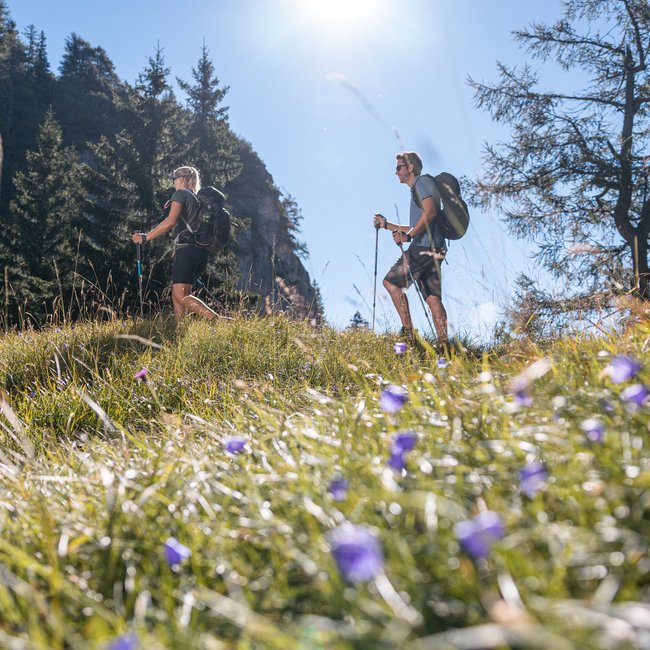 Unsere Heimat: das Alpbachtal Unsere Heimat: das Alpbachtal