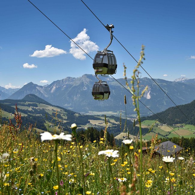 Unsere Heimat: das Alpbachtal Unsere Heimat: das Alpbachtal